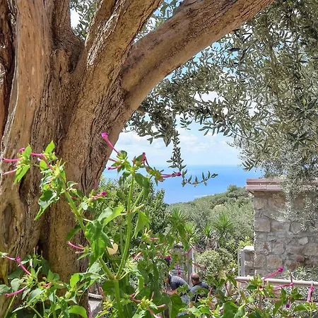 1 Bedroom Cozy In Διαμέρισμα Massa Lubrense